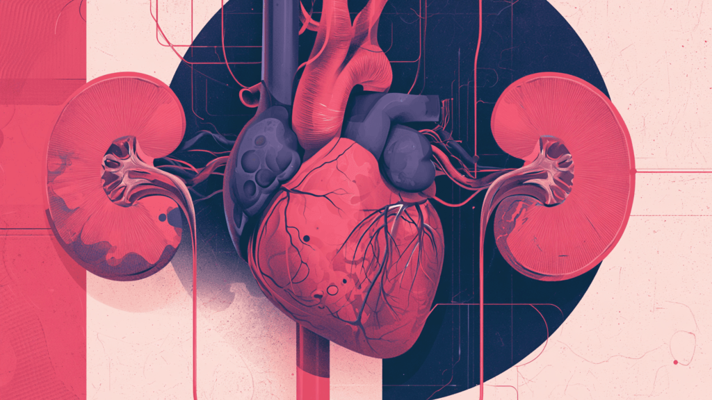 Corazón y Riñón en el Mismo Mapa: las Primeras Guías ESC 2026 sobre Enfermedad
Cardiovascular y Enfermedad Renal Crónica